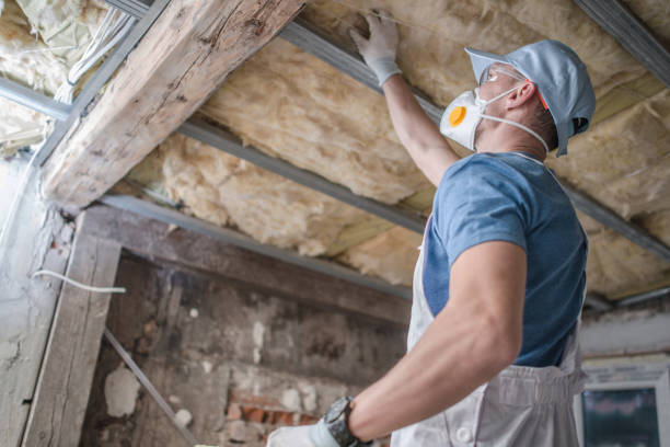 Best Attic Insulation Installation  in Wallburg, NC