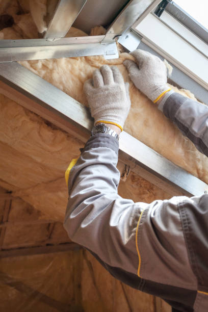 Best Cellulose Insulation  in Wallburg, NC