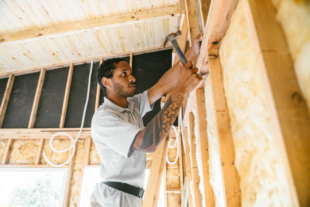 Best Insulation Replacement Services  in Wallburg, NC