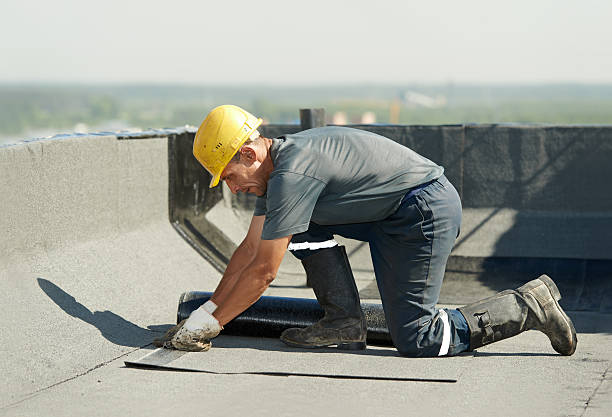 Best Wall Insulation Contractor  in Wallburg, NC