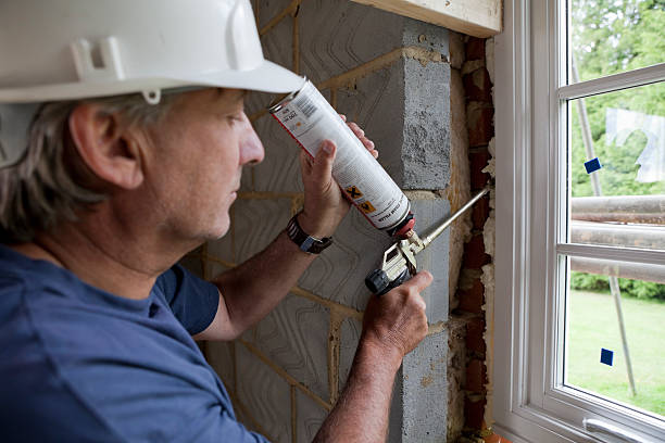 Best Professional Insulation Contractor  in Wallburg, NC