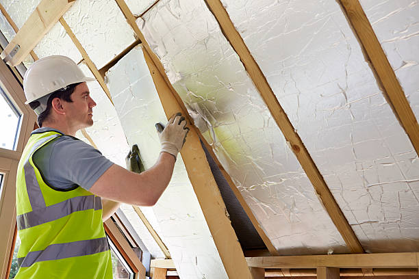 Best Insulation Inspection Services  in Wallburg, NC