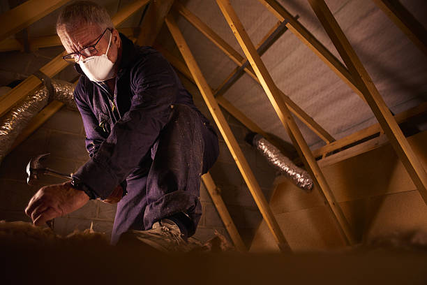 Best Spray Foam Insulation  in Wallburg, NC